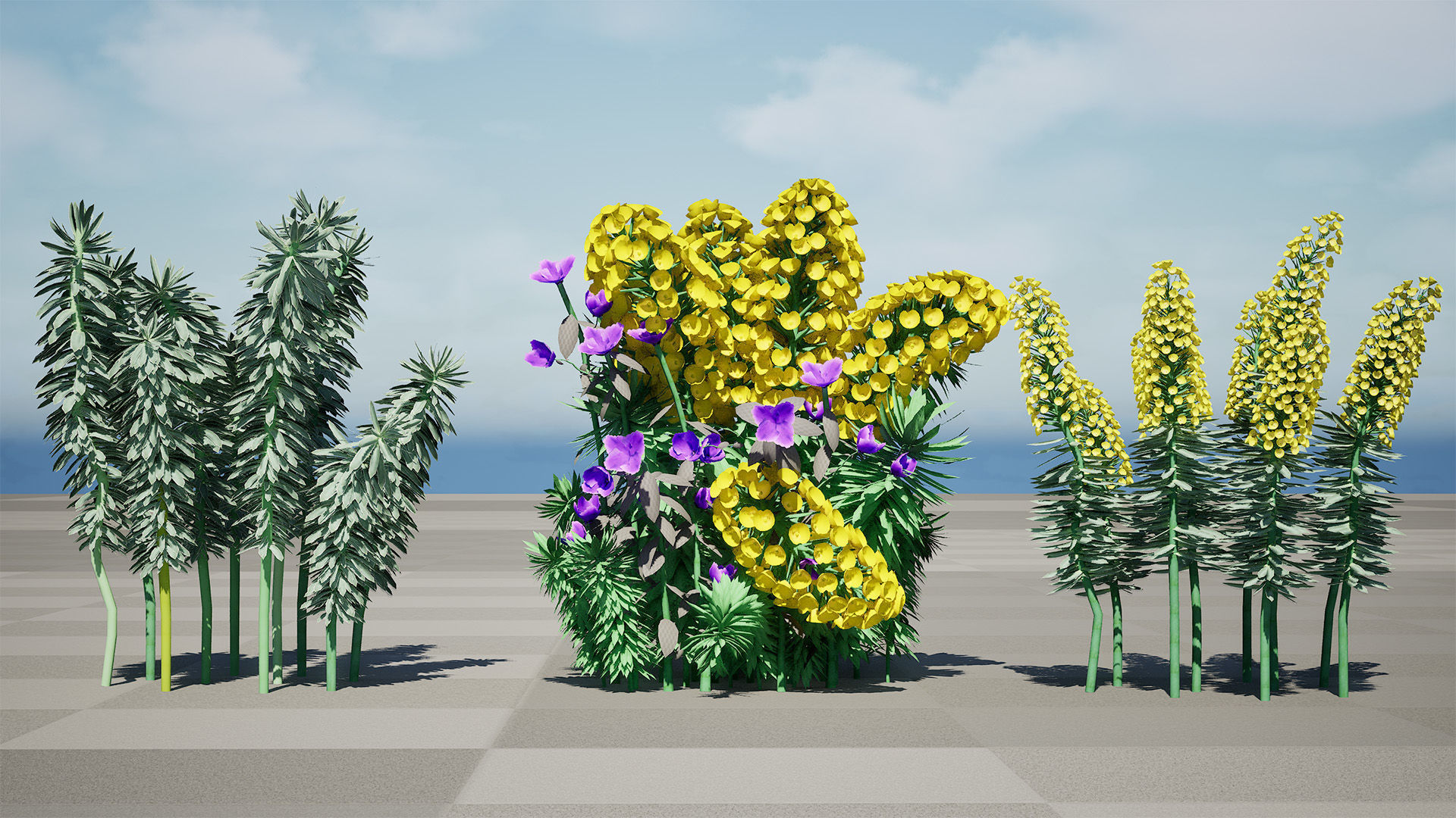 Gopher Spurge 3D Model Low-poly 3D model_11