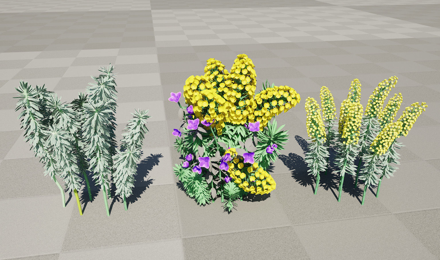 Gopher Spurge 3D Model Low-poly 3D model_10