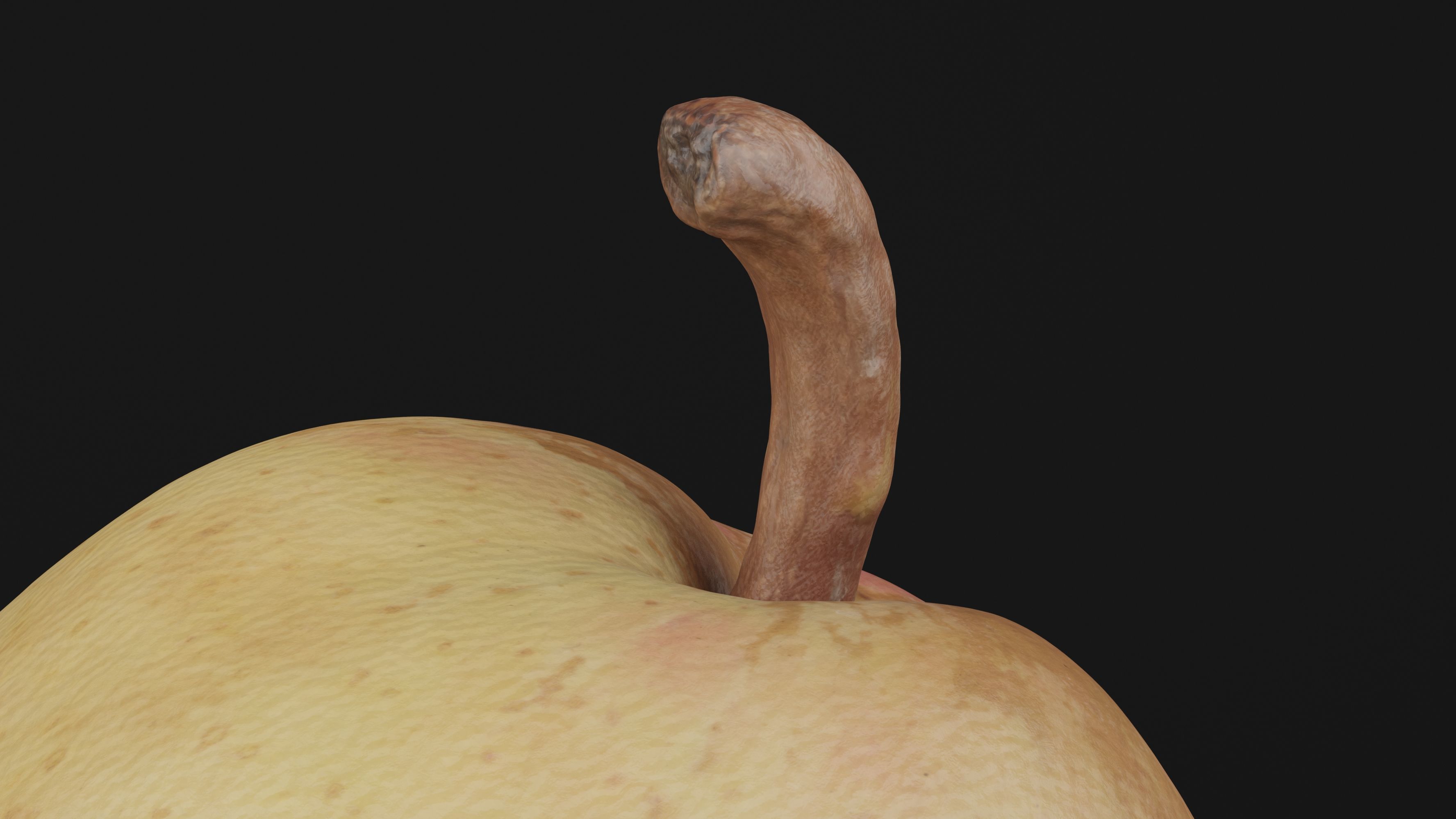 Pear Fruit 3D model_3