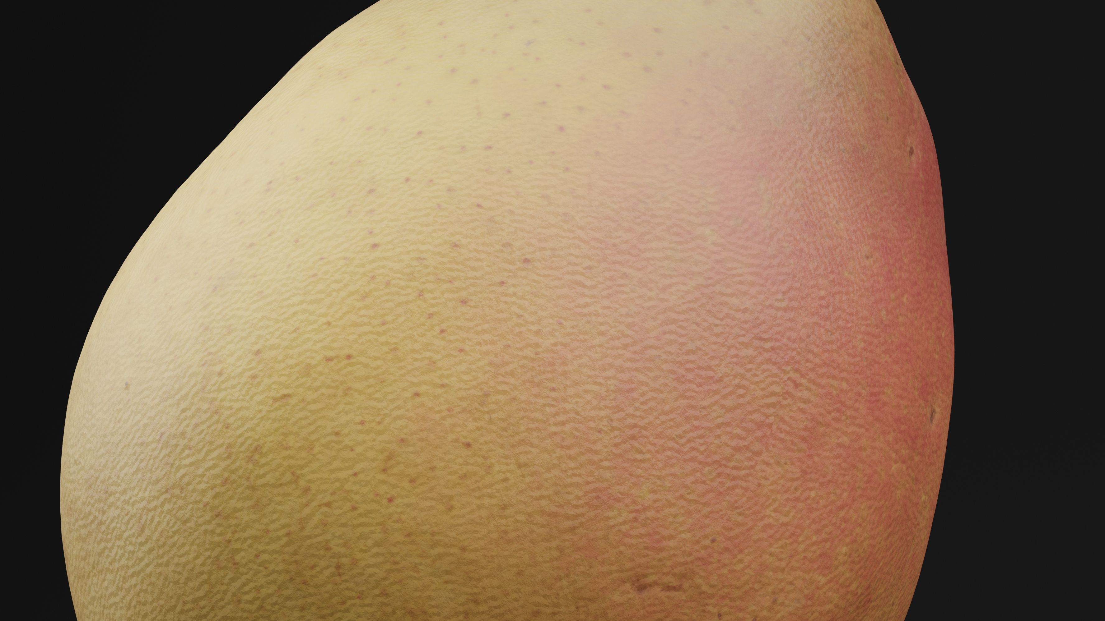 Pear Fruit 3D model_1