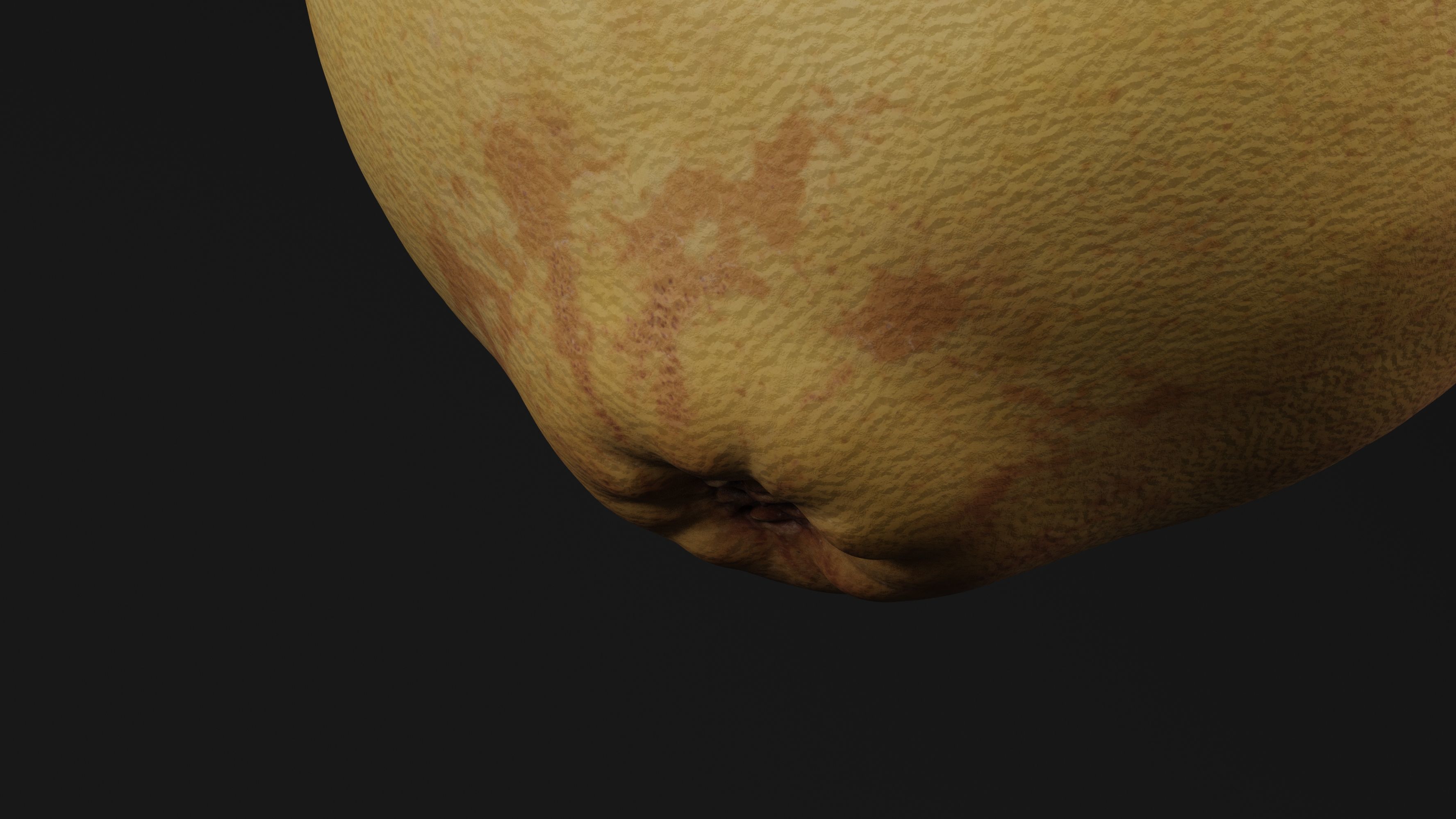 Pear Fruit 3D model_2