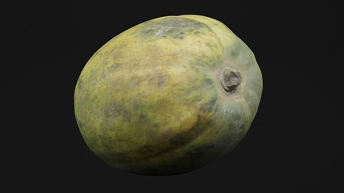 Papaya 3D model