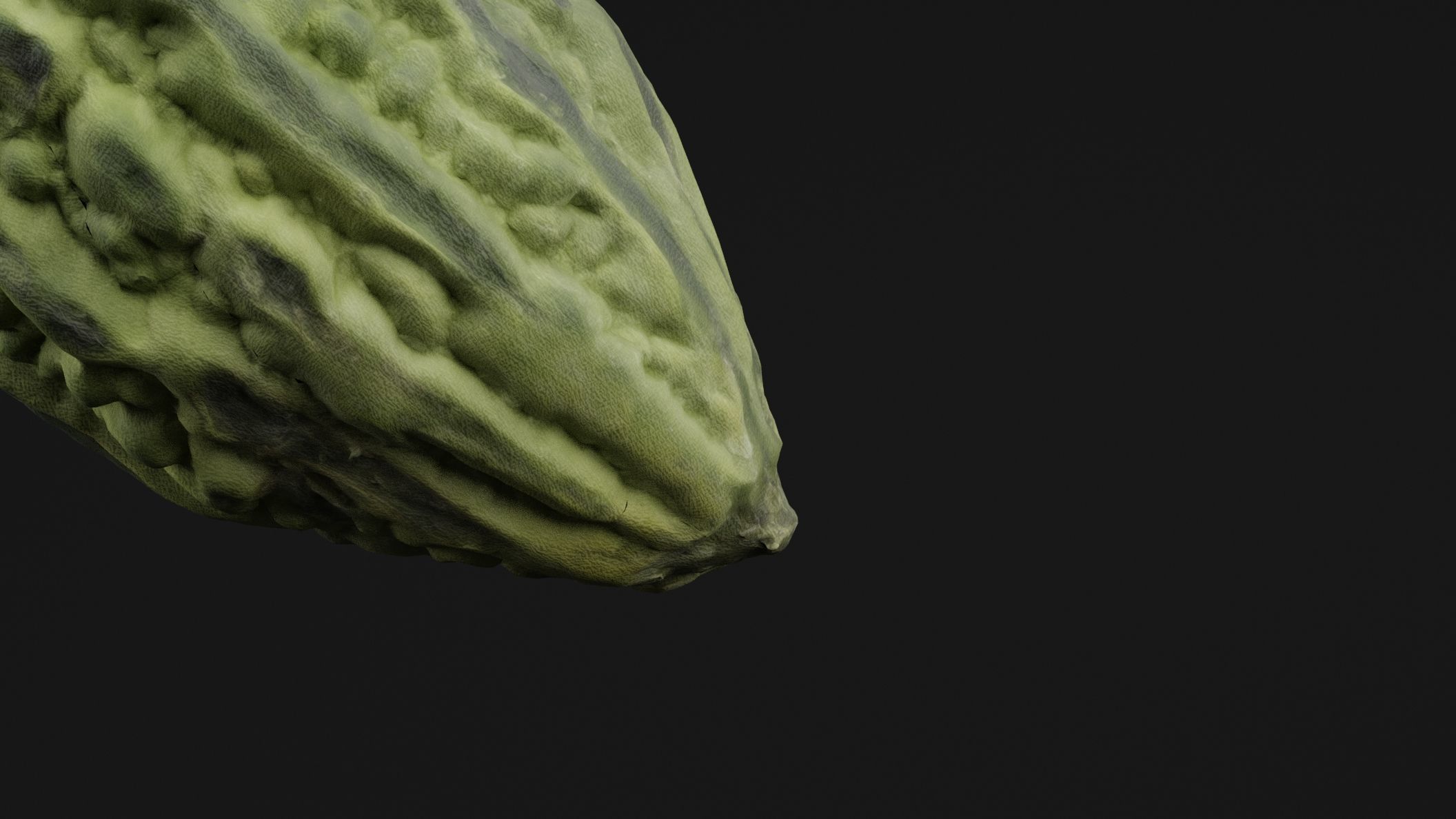 Momordica Charantia 3D model_1