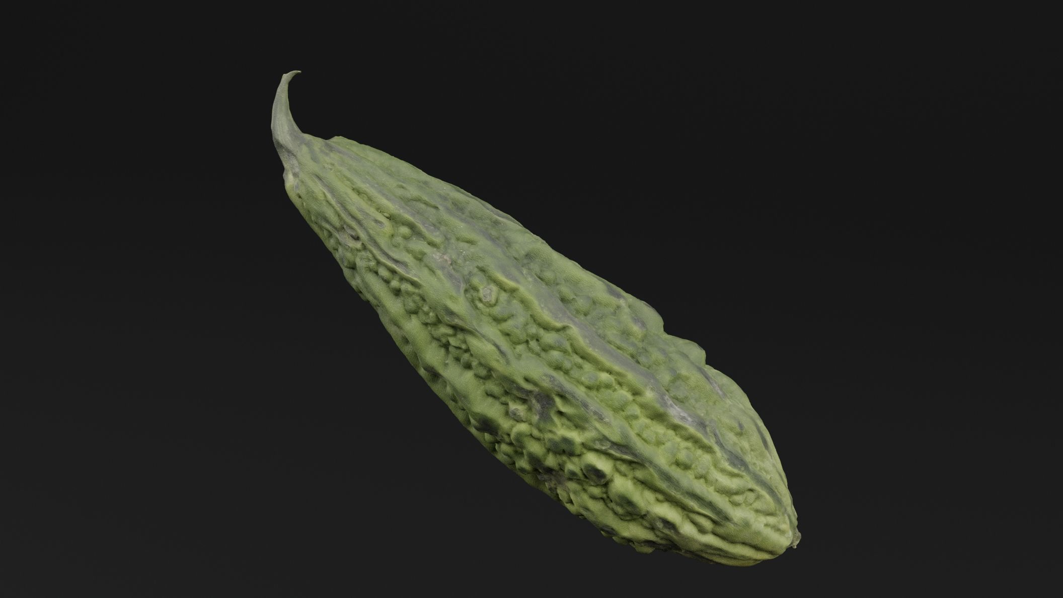 Momordica Charantia 3D model_4