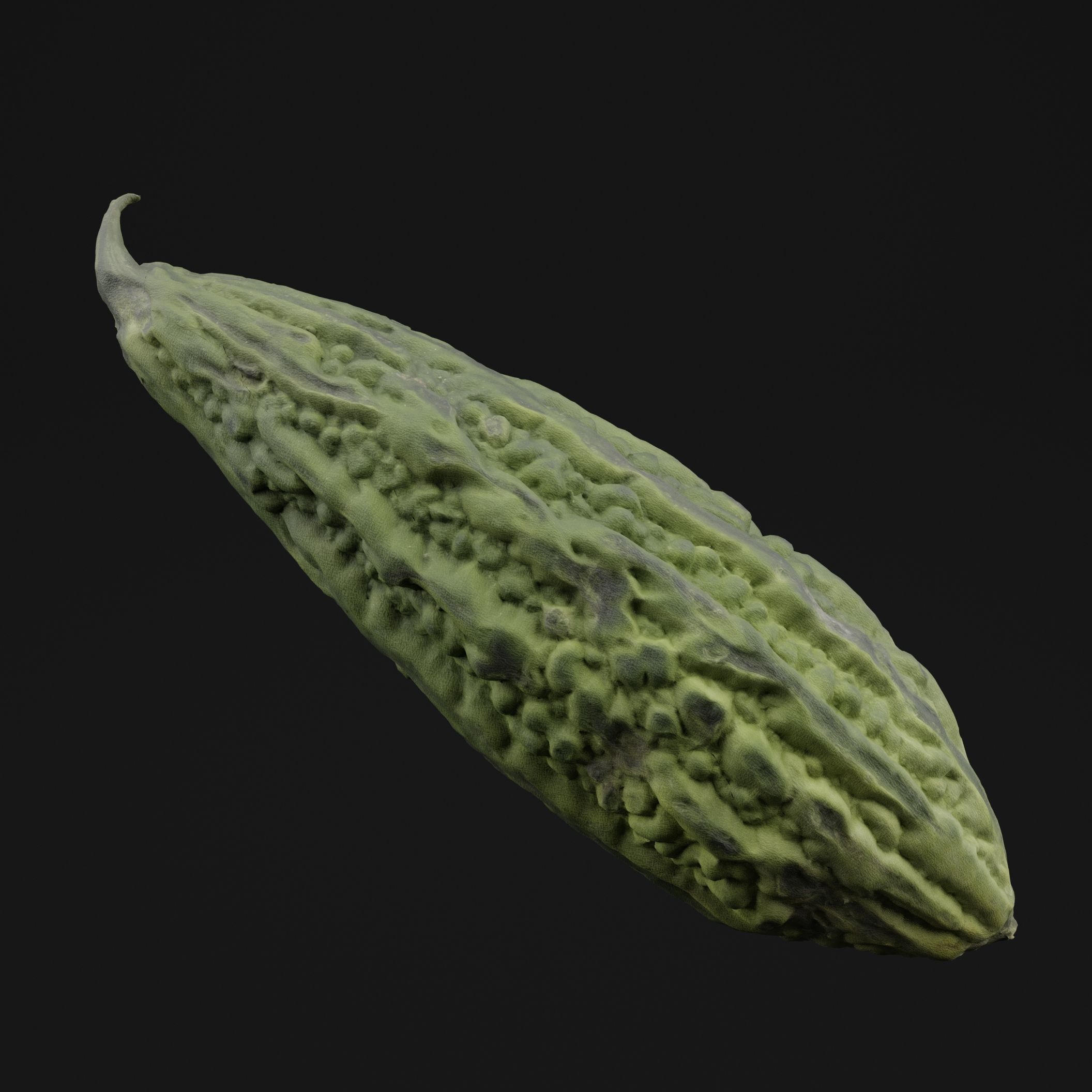 Momordica Charantia 3D model_5