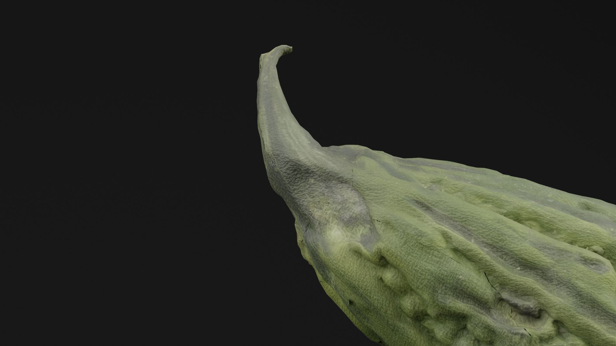 Momordica Charantia 3D model_2