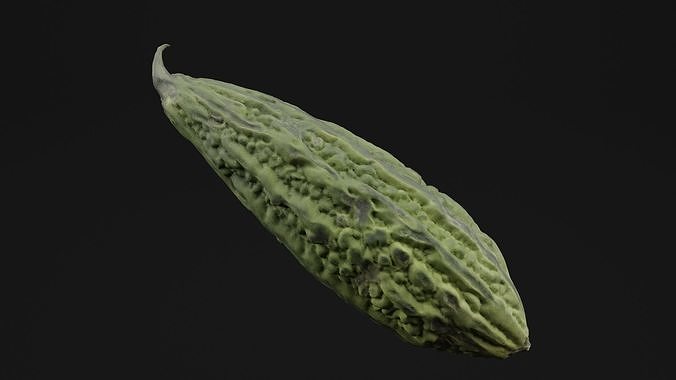 Momordica Charantia 3D model