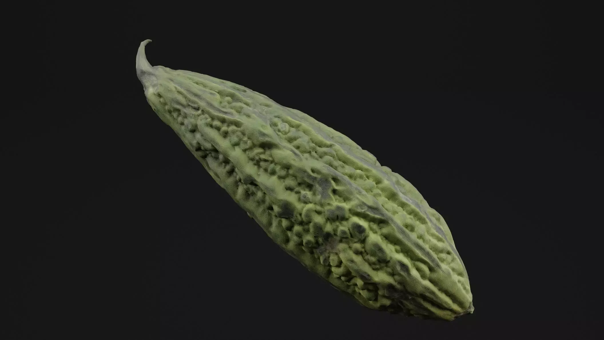Momordica Charantia 3D model_0