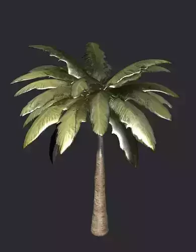 Palm 3D model