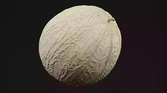 Melon Fruit