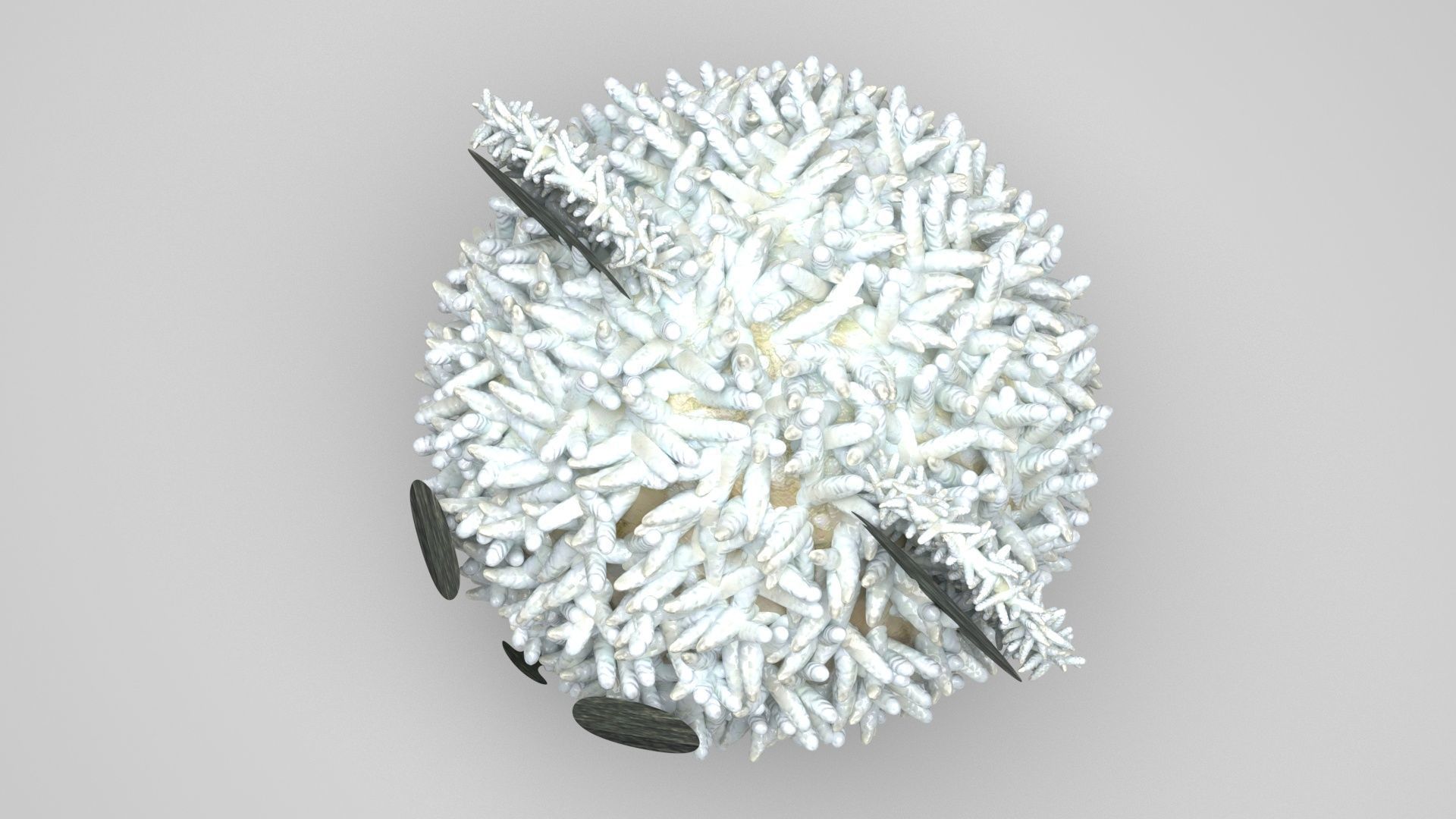 Panda Onigiri 3D model_1