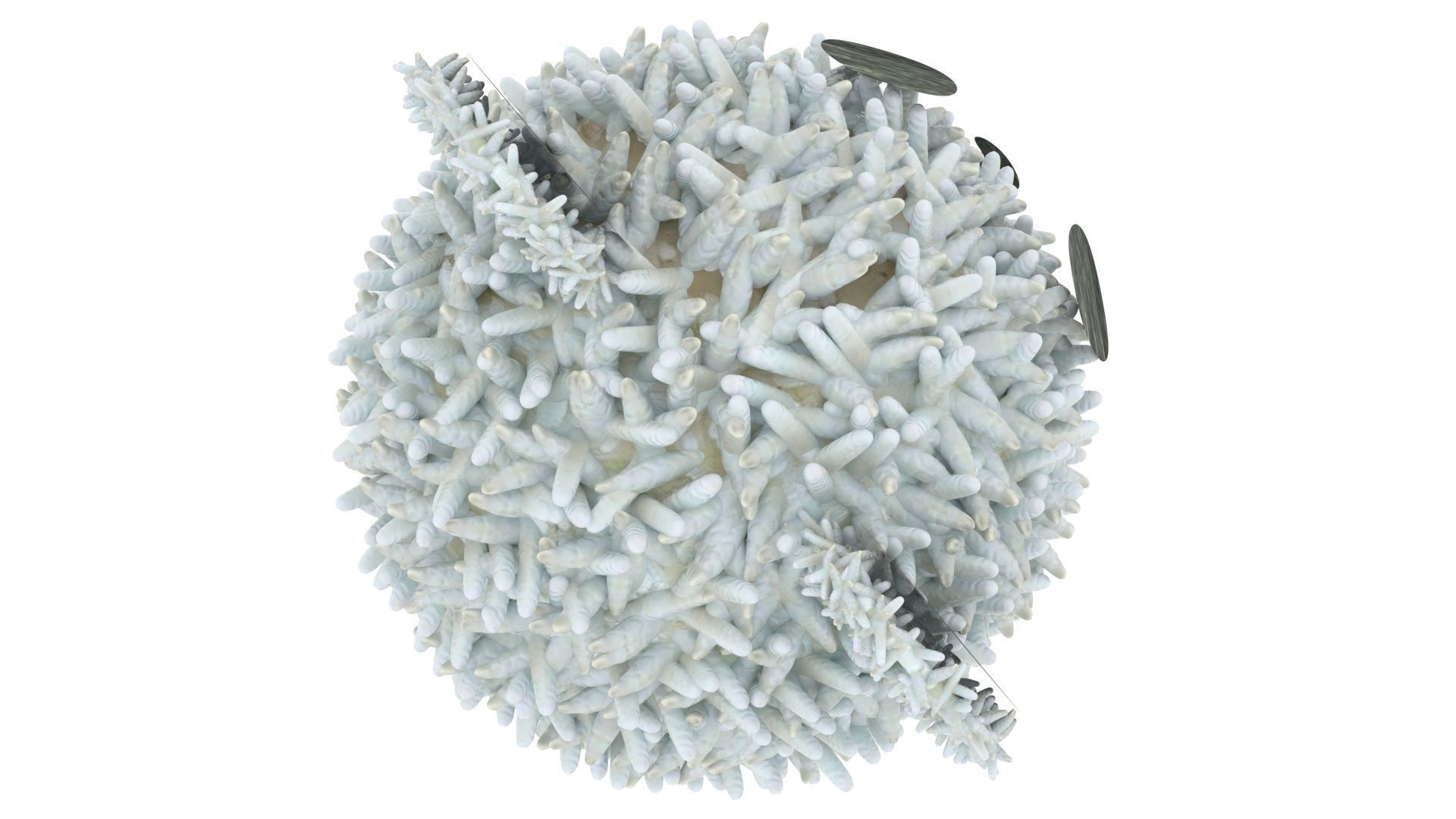 Panda Onigiri 3D model_11