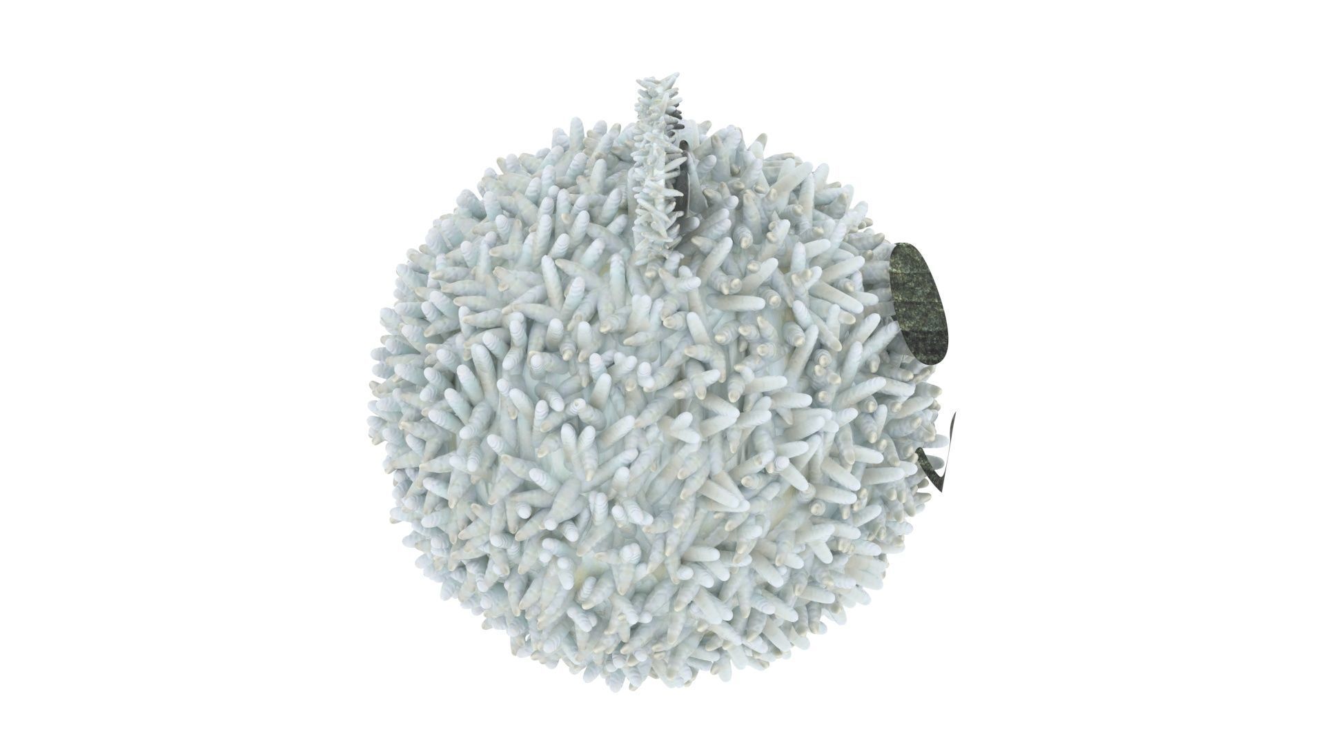 Panda Onigiri 3D model_16