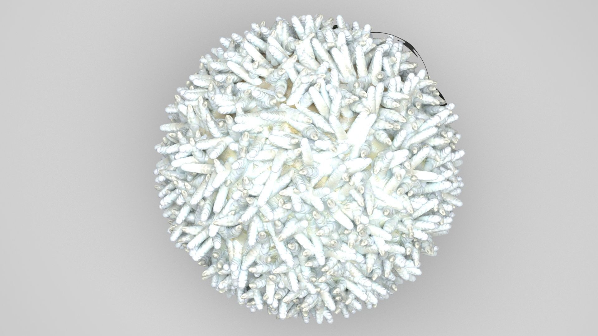 Panda Onigiri 3D model_4