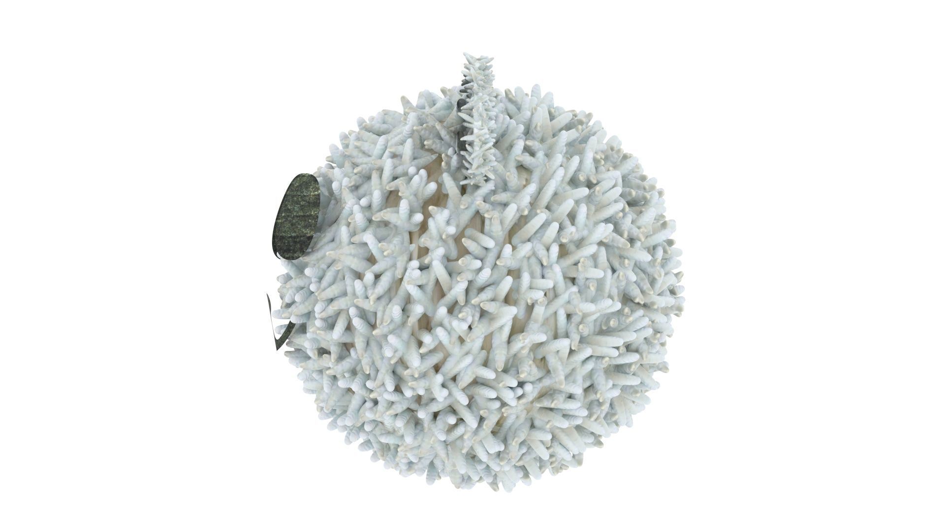 Panda Onigiri 3D model_19