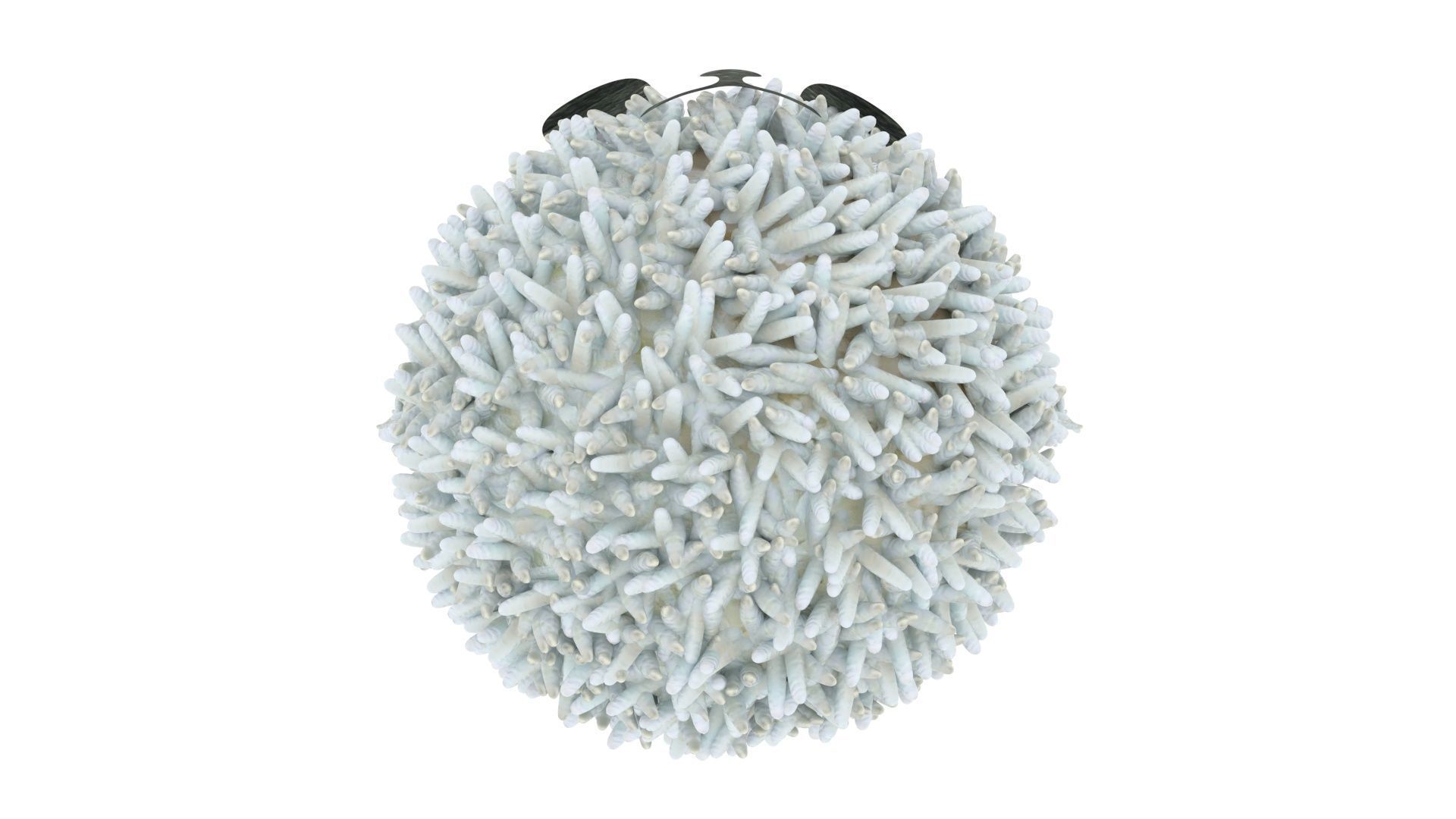 Panda Onigiri 3D model_17