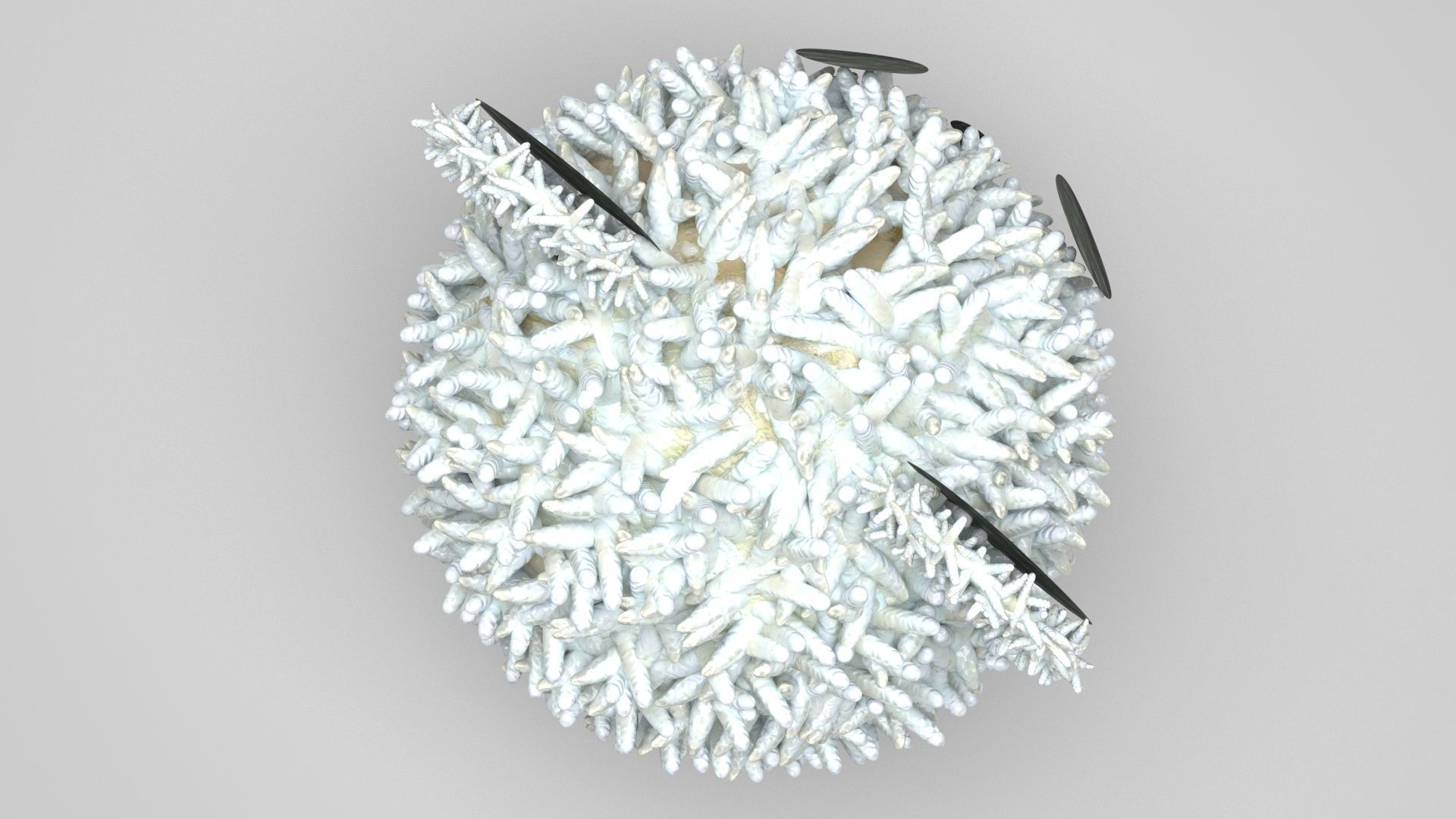 Panda Onigiri 3D model_3