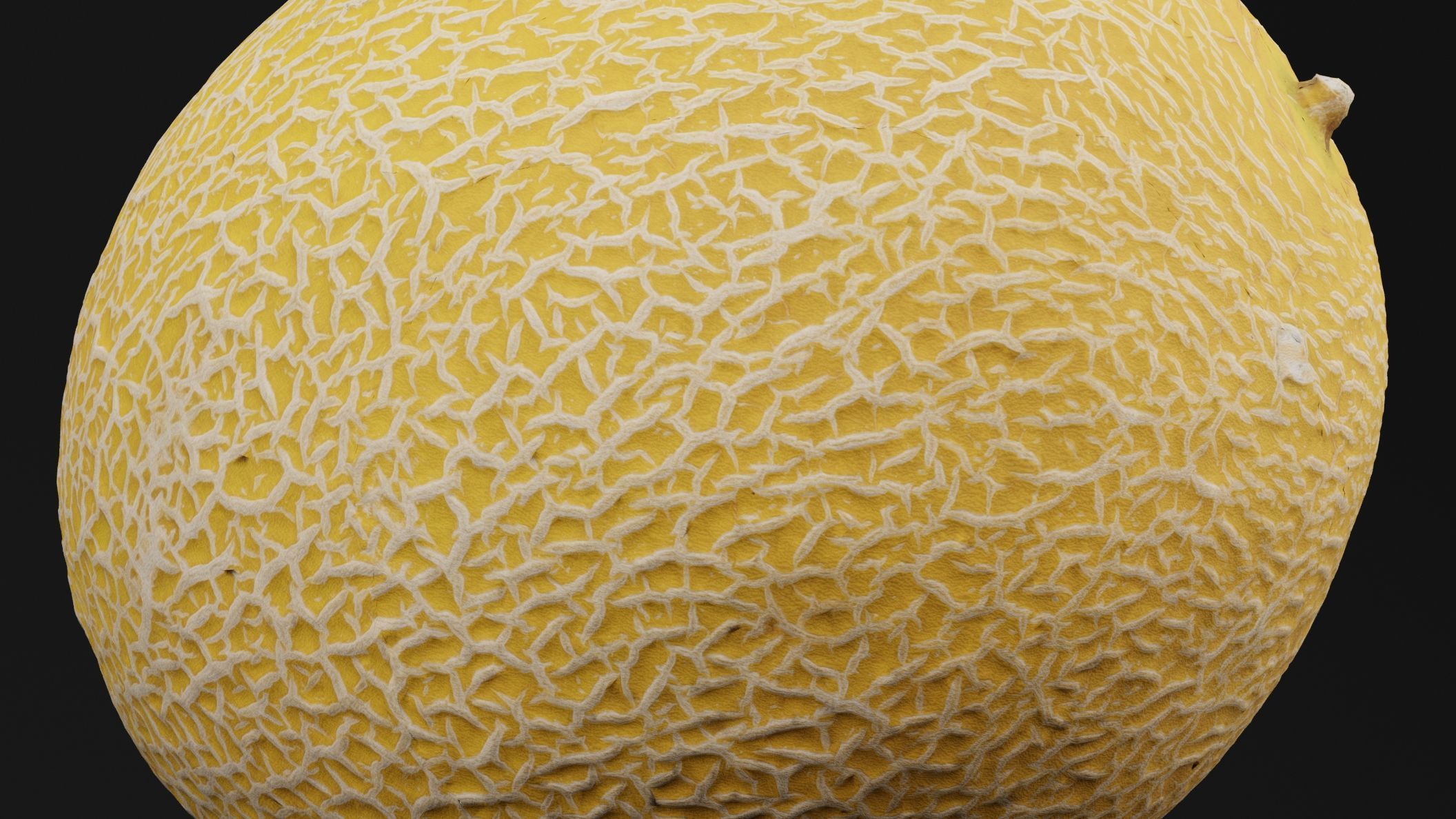 Melon Fruit 3D model_2