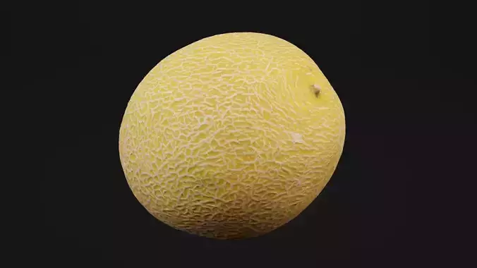 Melon Fruit