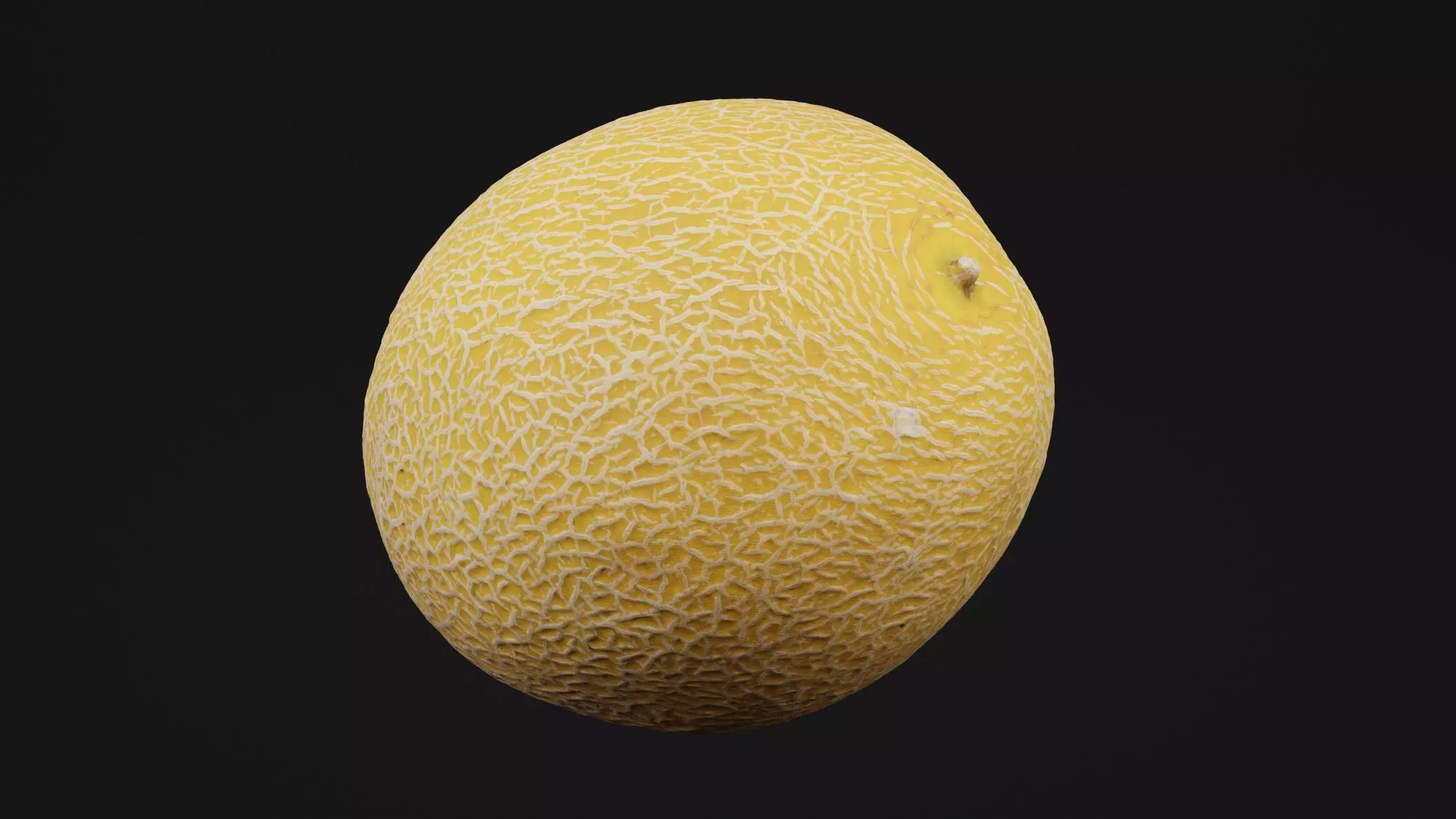 Melon Fruit 3D model_0