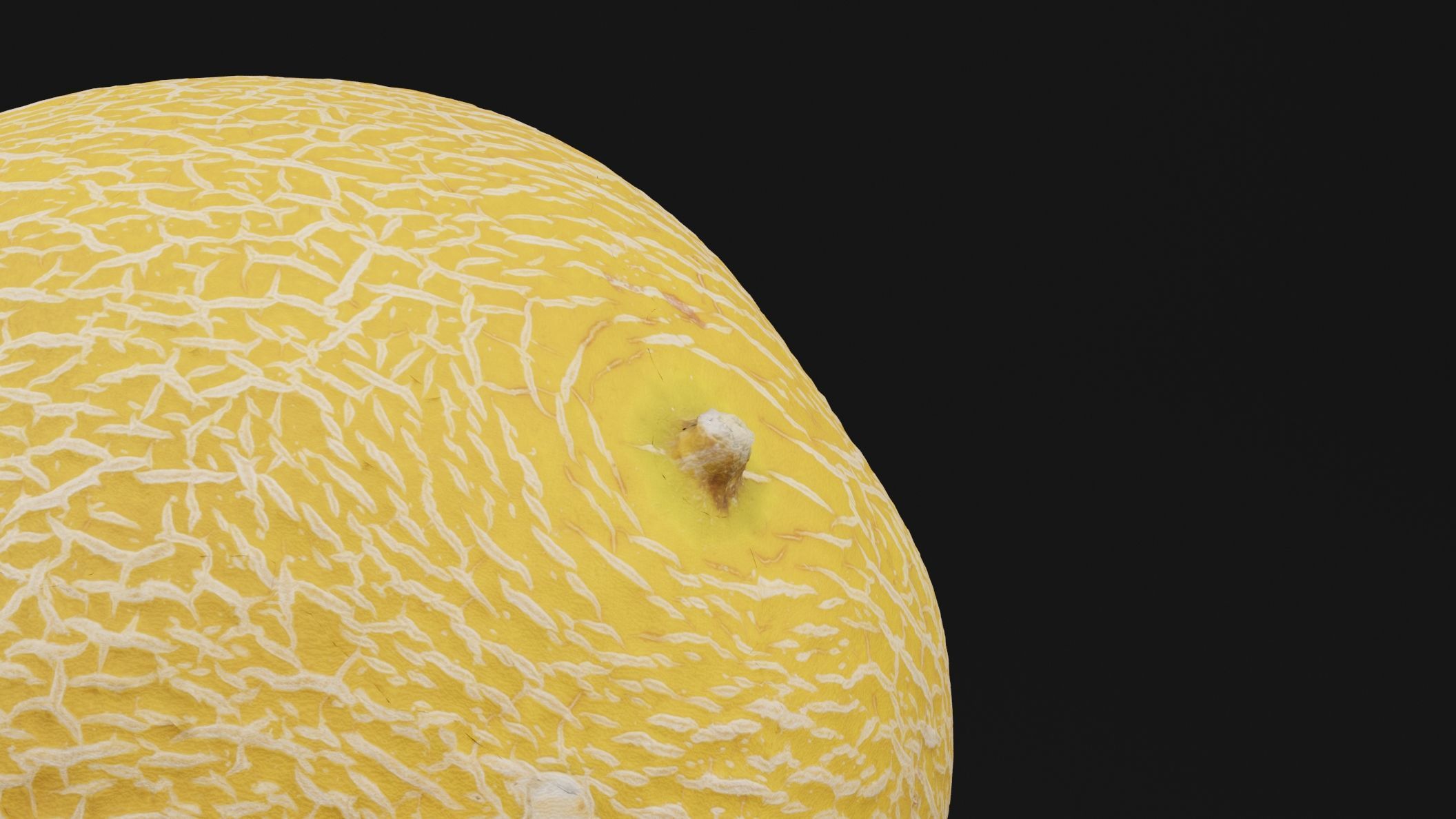 Melon Fruit 3D model_1