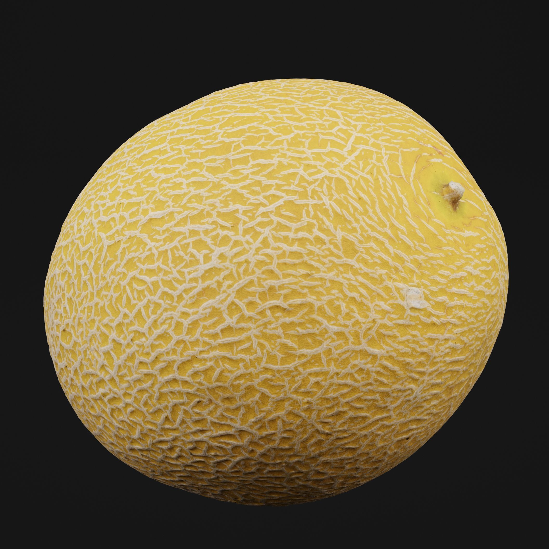 Melon Fruit 3D model_5