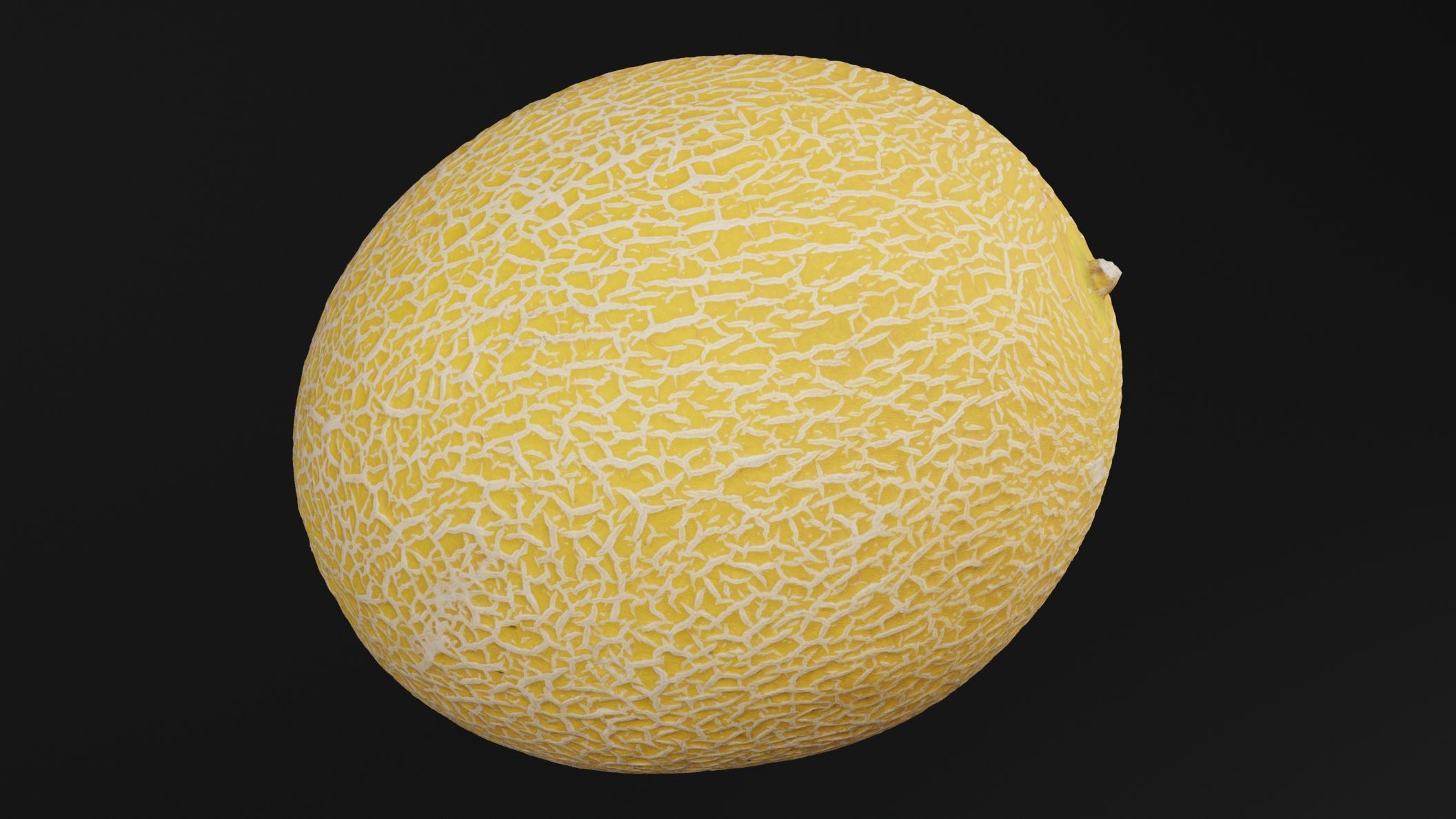 Melon Fruit 3D model_3