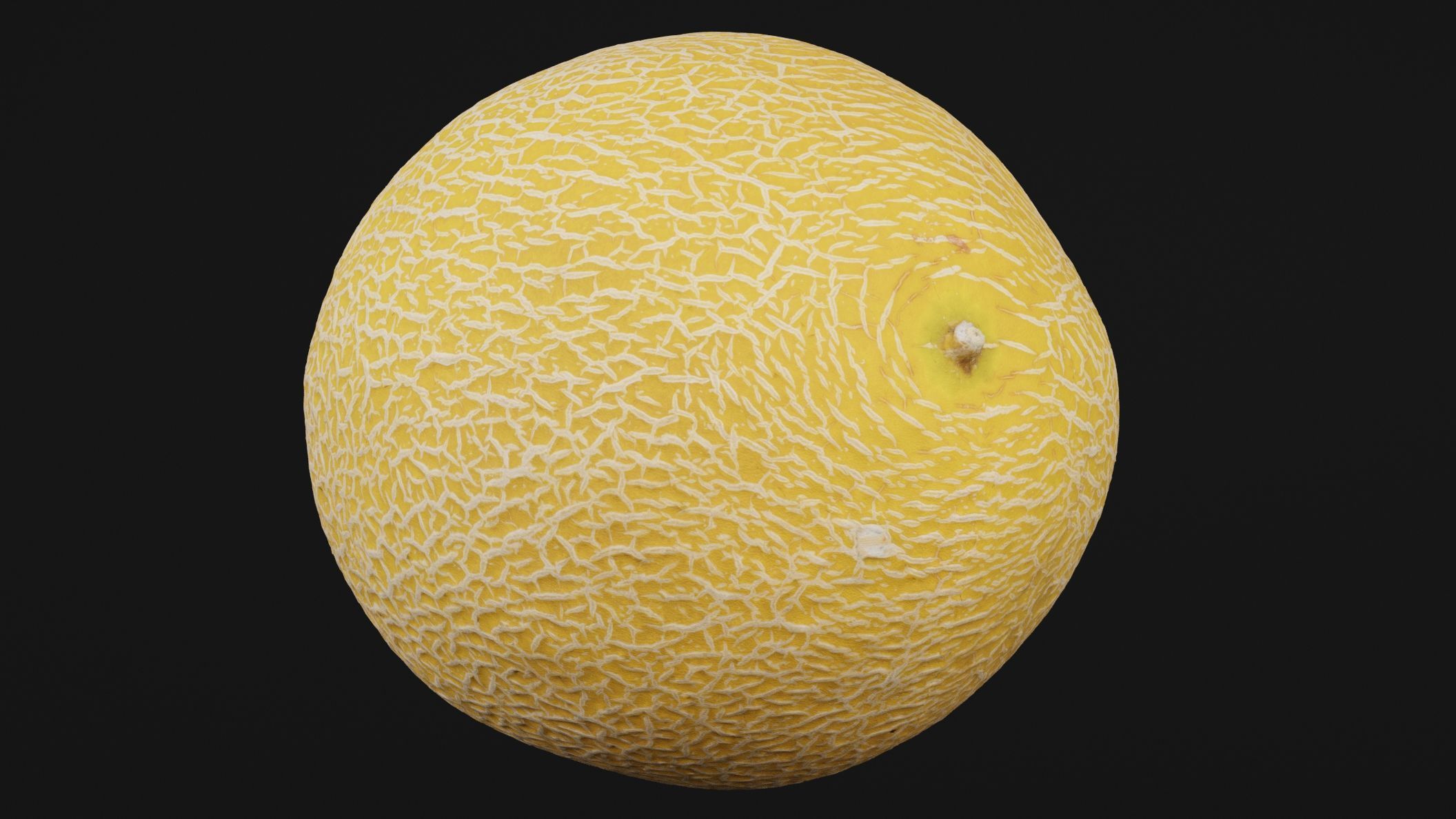 Melon Fruit 3D model_4