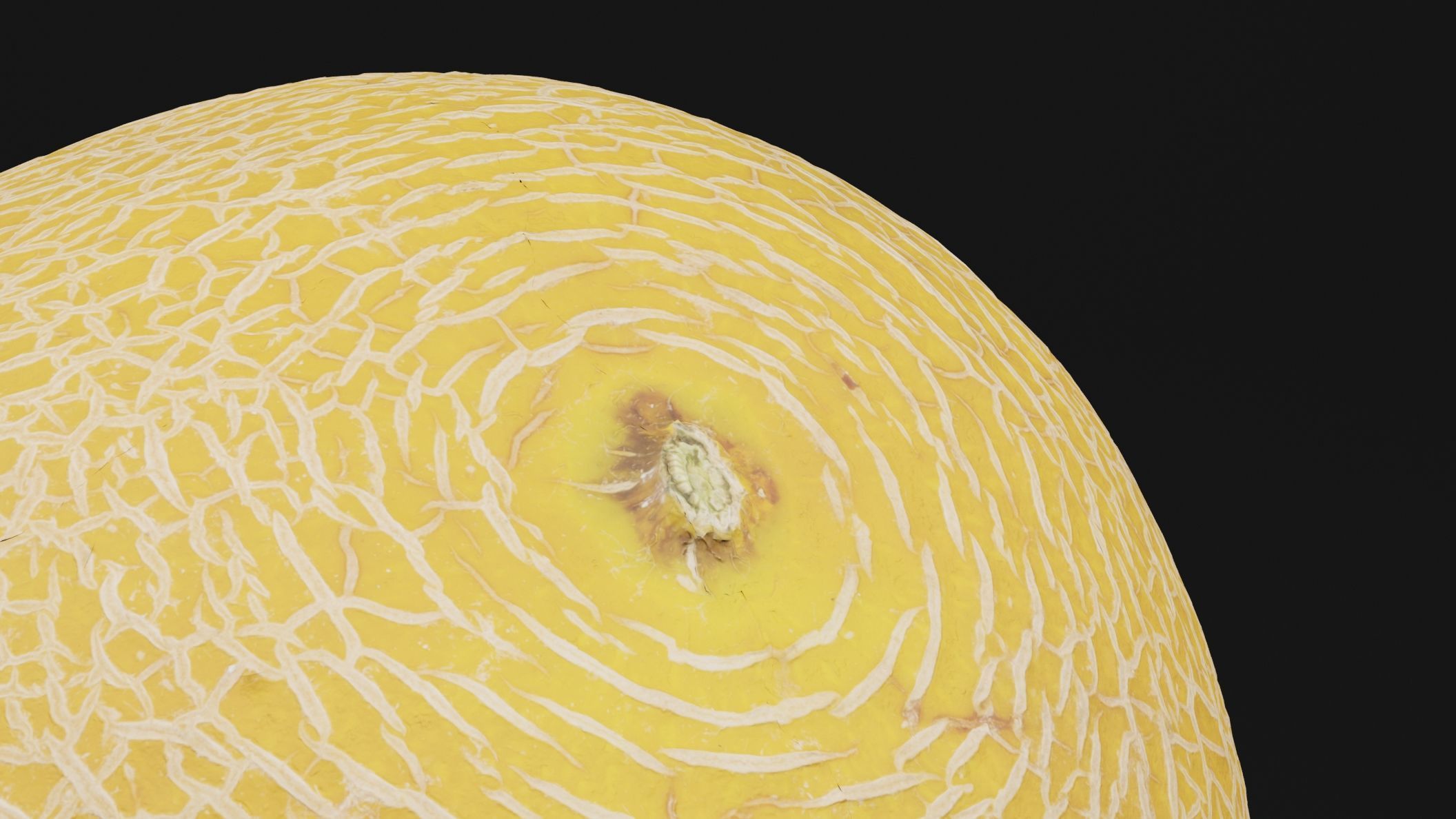 Melon Fruit 3D model_1