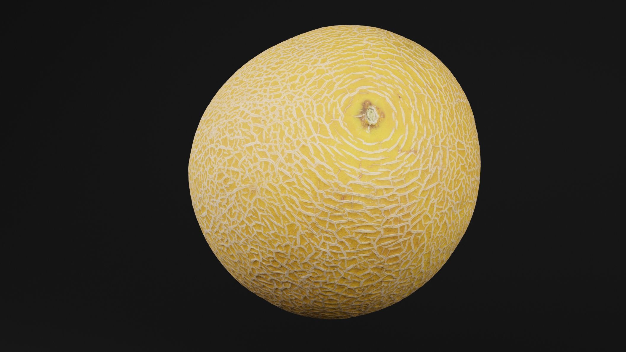 Melon Fruit 3D model_4