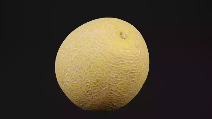 Melon Fruit