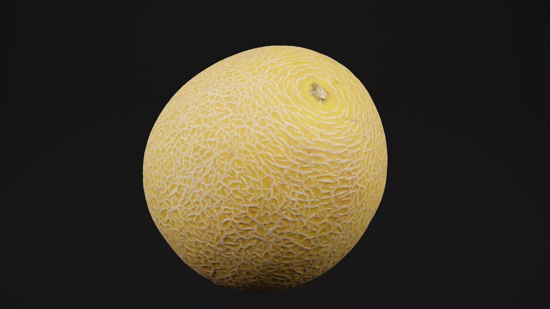 Melon Fruit 3D model_0