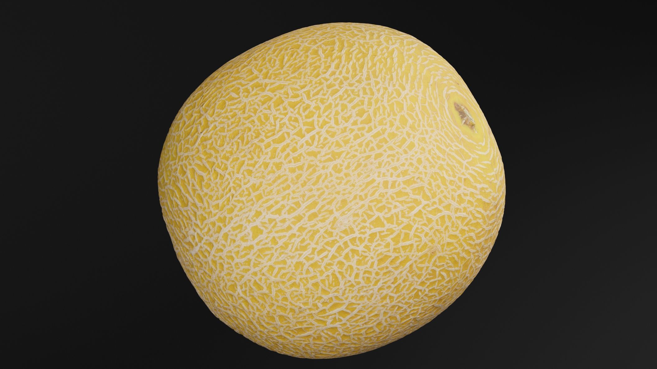 Melon Fruit 3D model_3