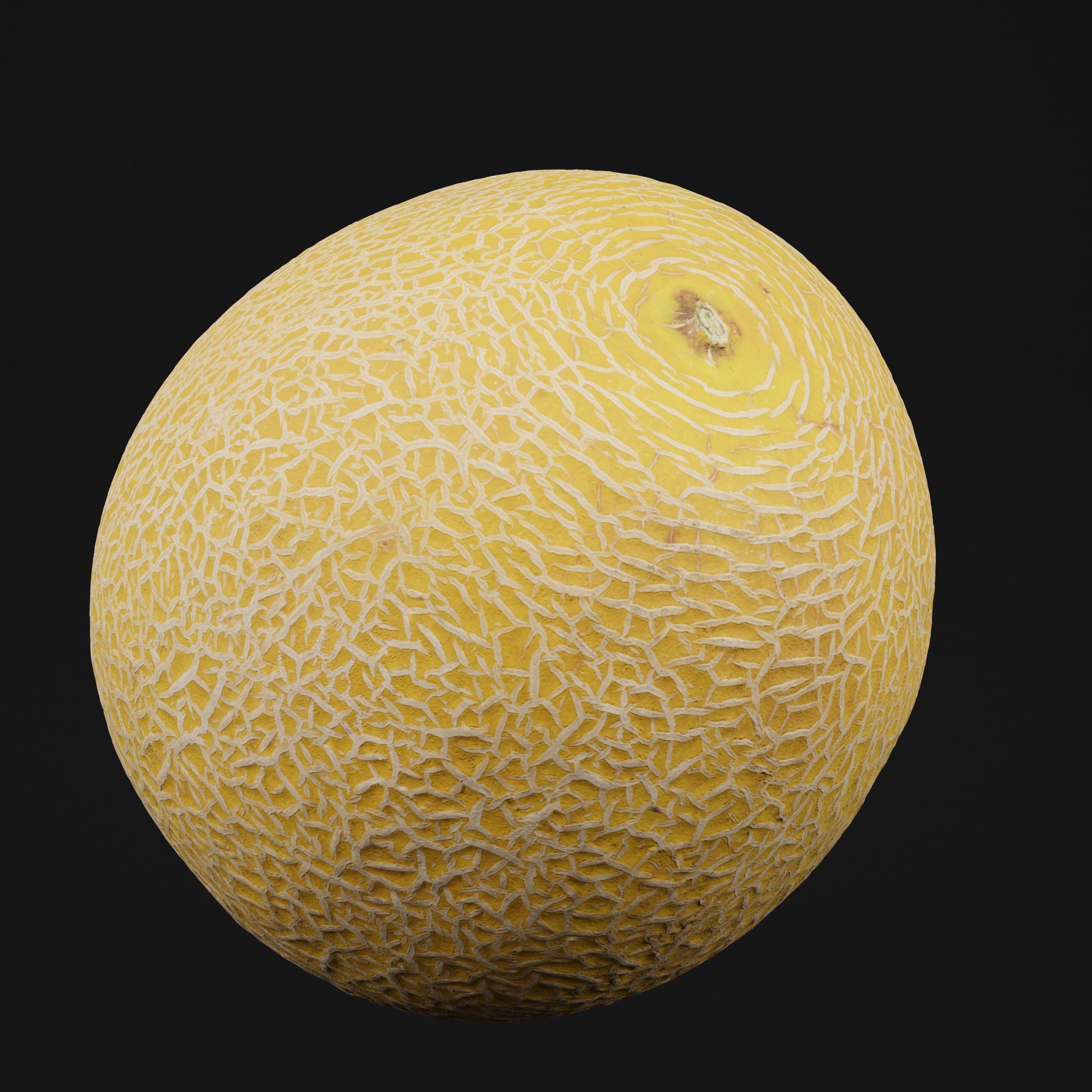 Melon Fruit 3D model_5