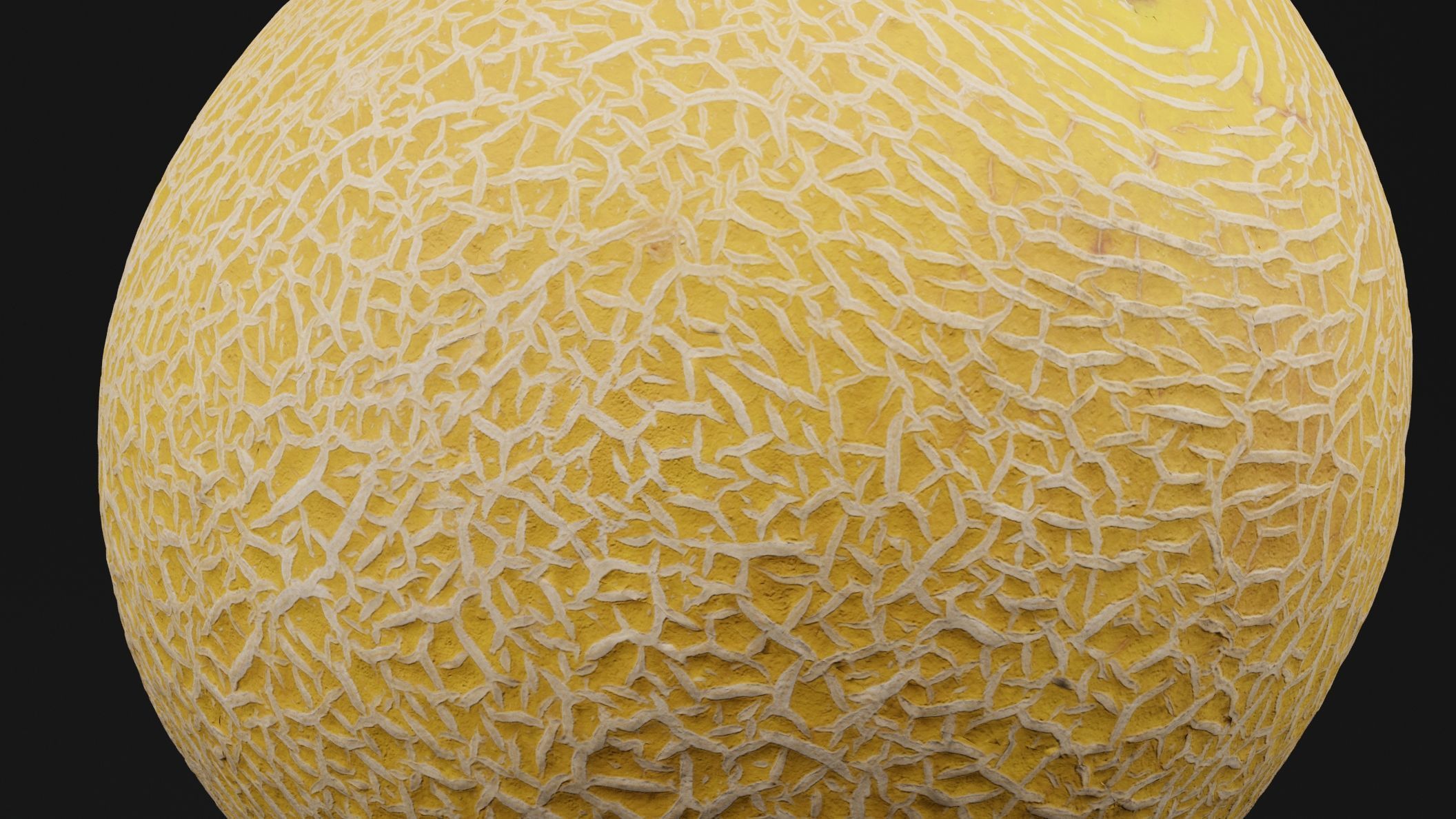 Melon Fruit 3D model_2