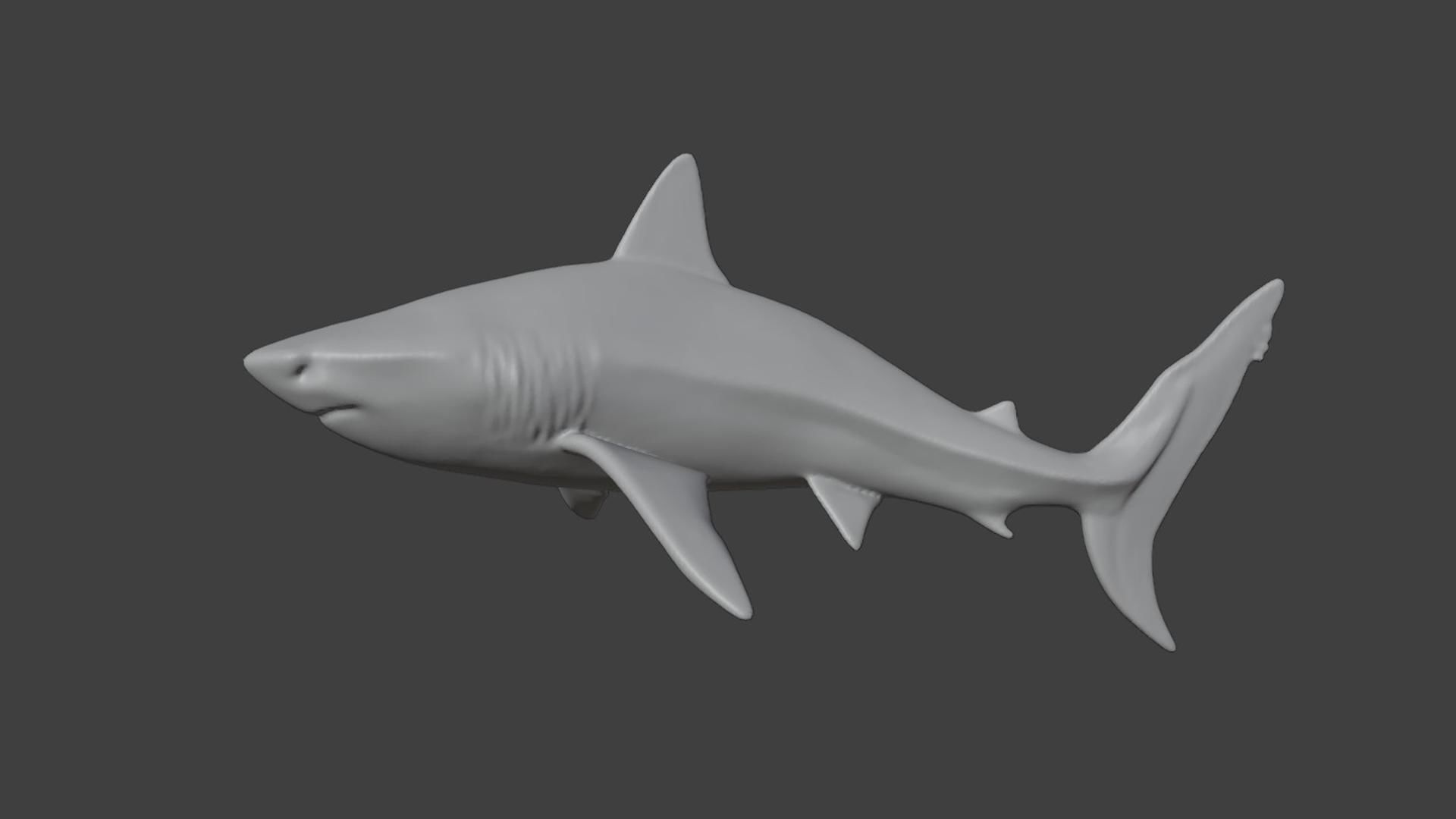 Great White Shark Low-poly 3D model_8