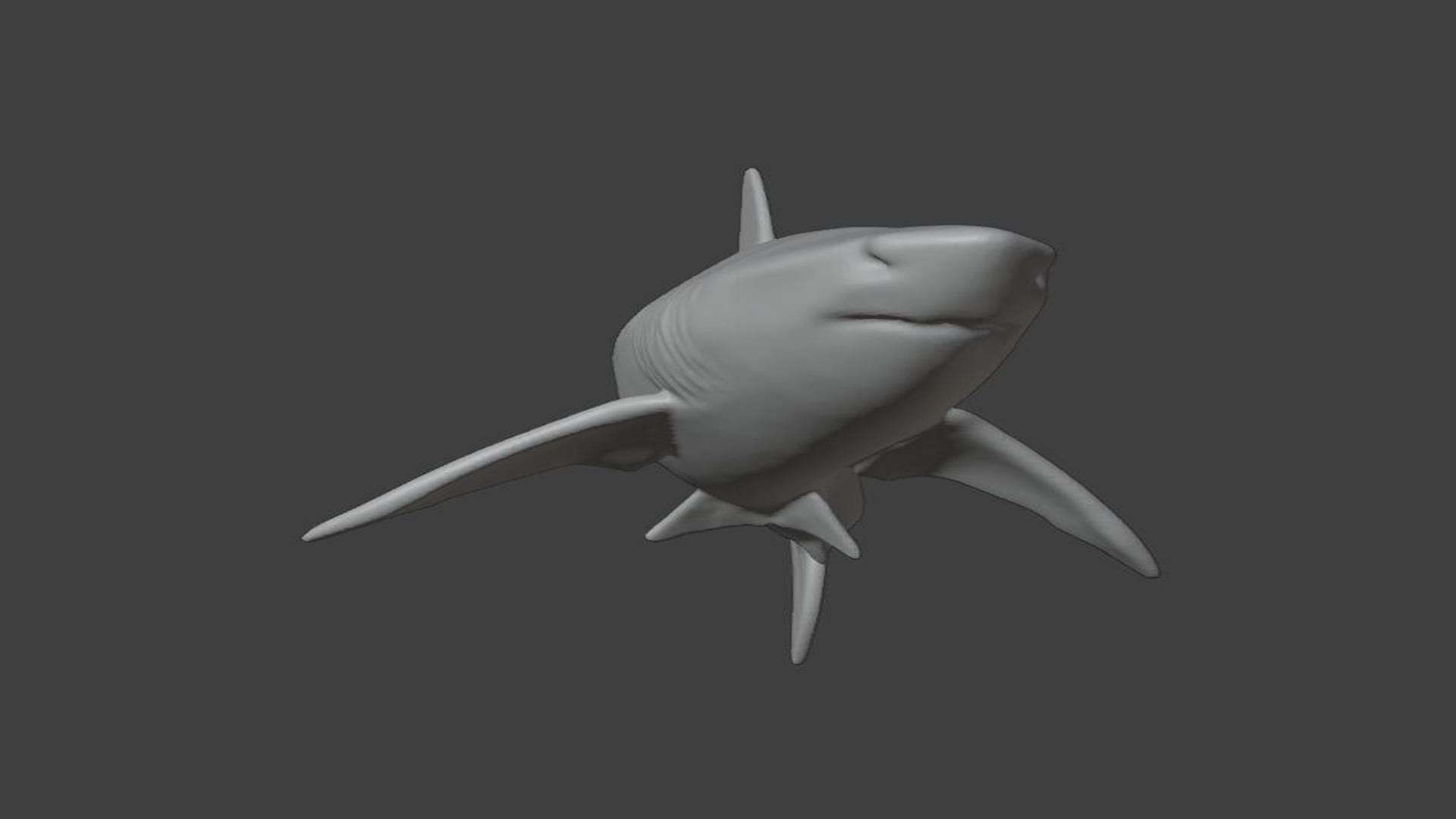 Great White Shark Low-poly 3D model_9