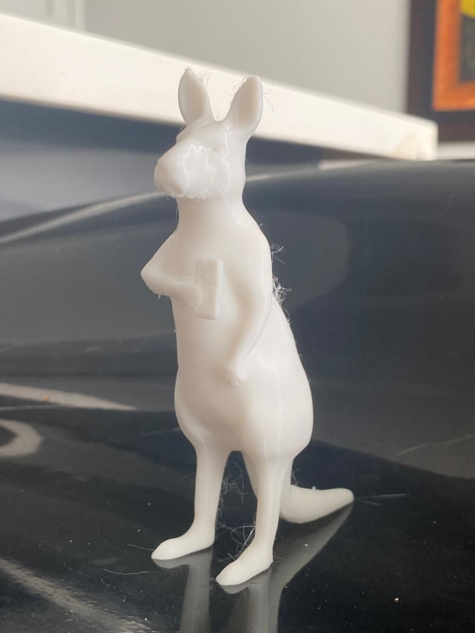 TEAM CANGURO MEME 3D print model_1