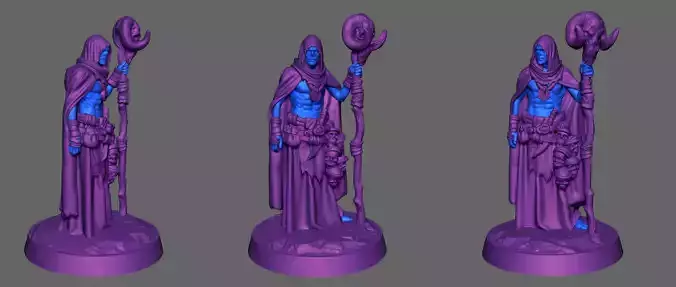 Seer  Norse mythology