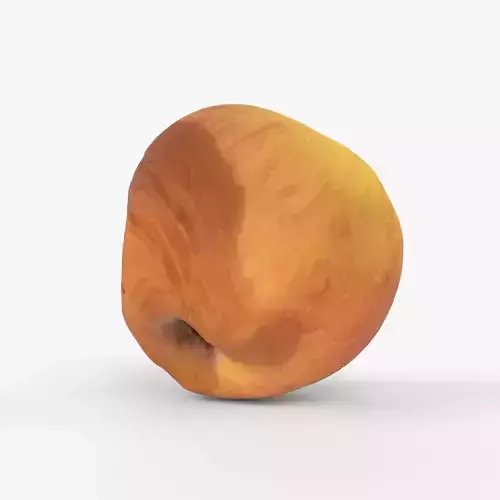Photorealistic 3D scan of rotten wrinkly overripe old ugly apple