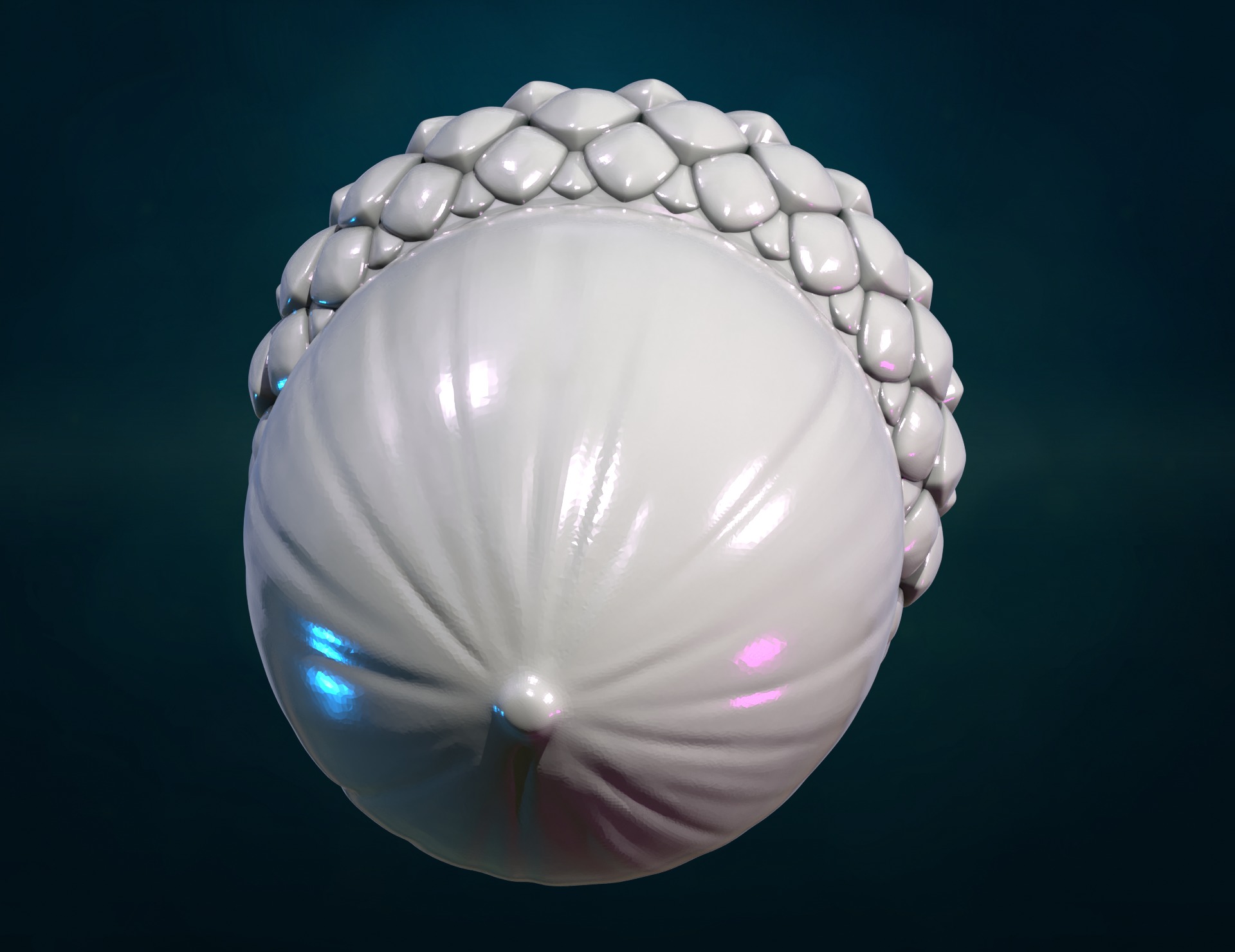 Acorn II 3D print model_4