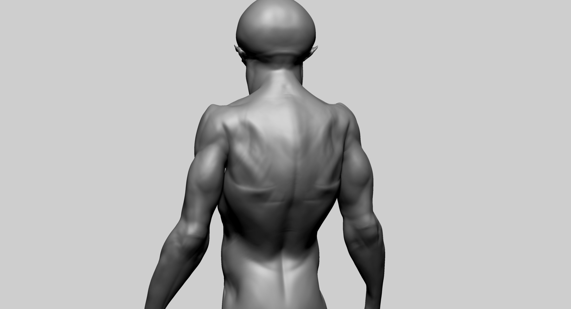 Creature Body Form E 3D model_11
