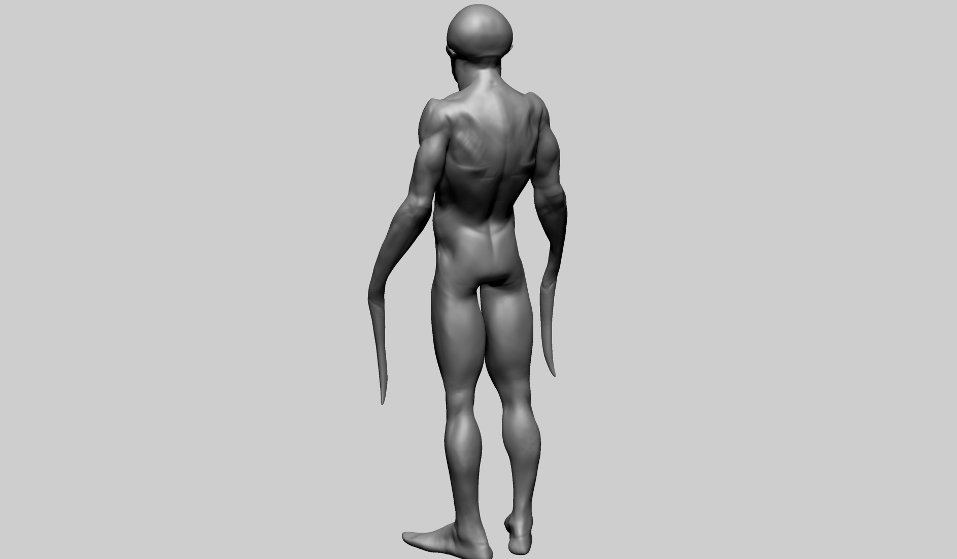 Creature Body Form E 3D model_6