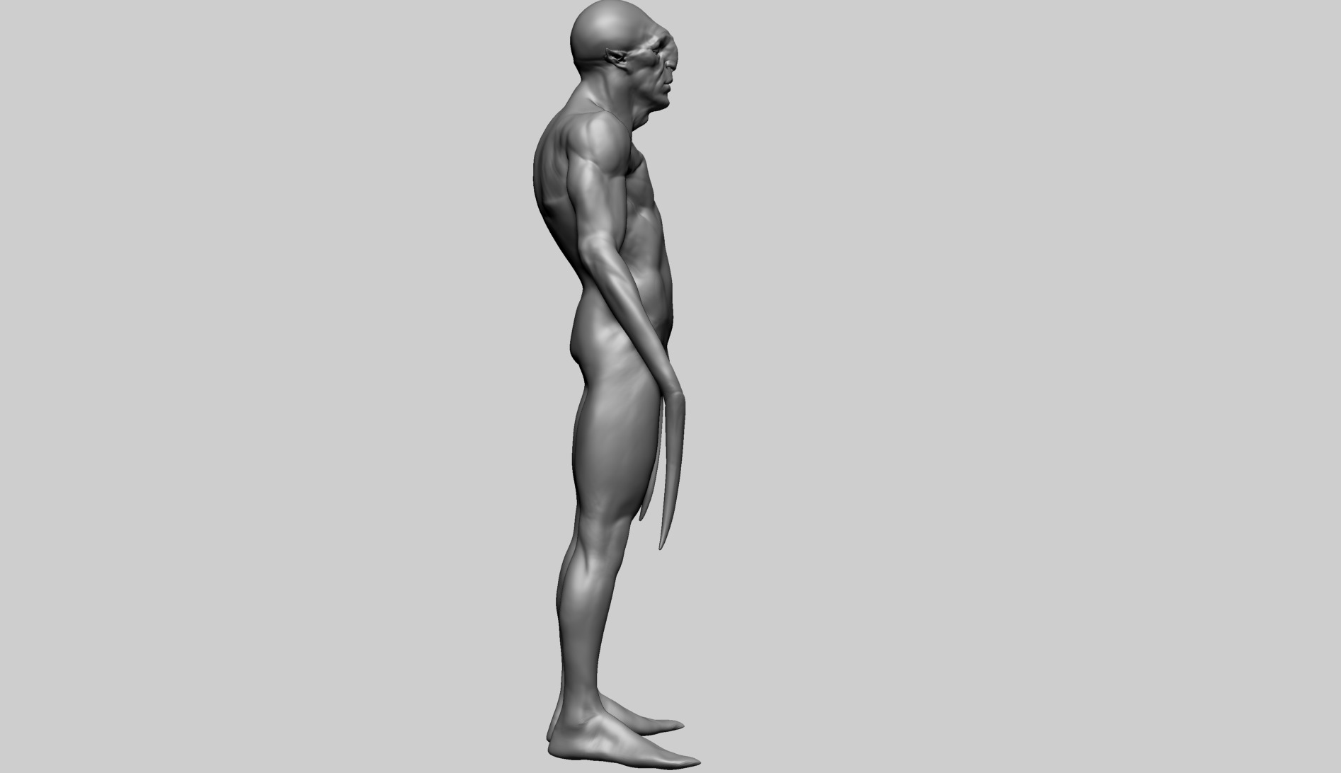 Creature Body Form E 3D model_5