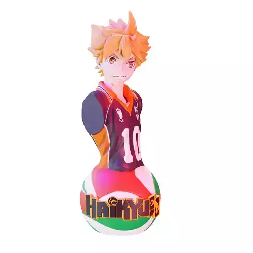 Hinata Shoyo - Haikyuu  3D print model