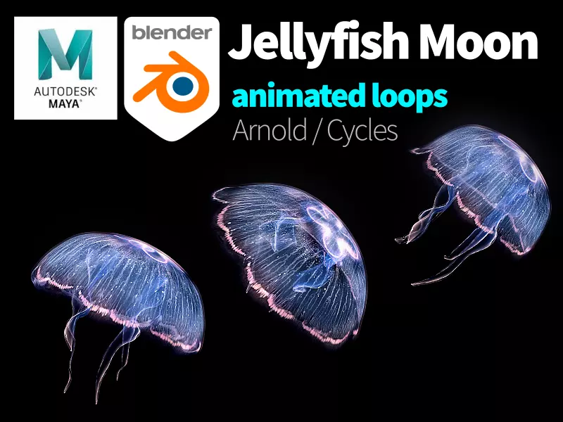 Jellyfish Moon Low-poly 3D model_0