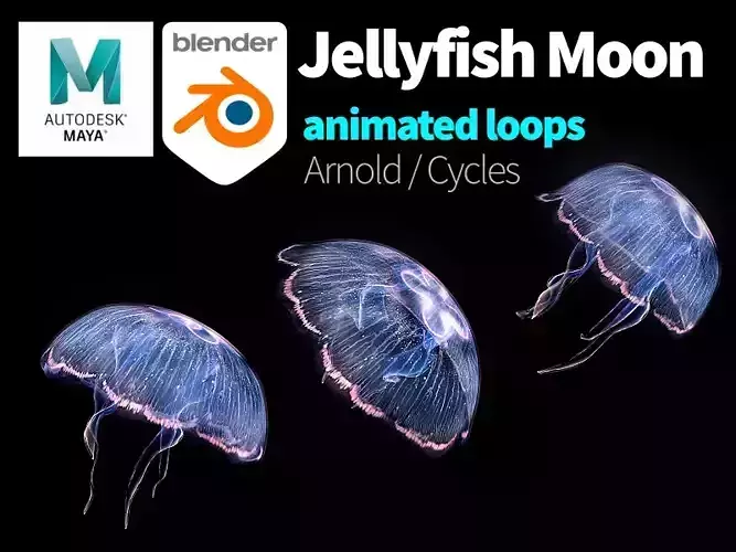Jellyfish Moon Low-poly 3D model