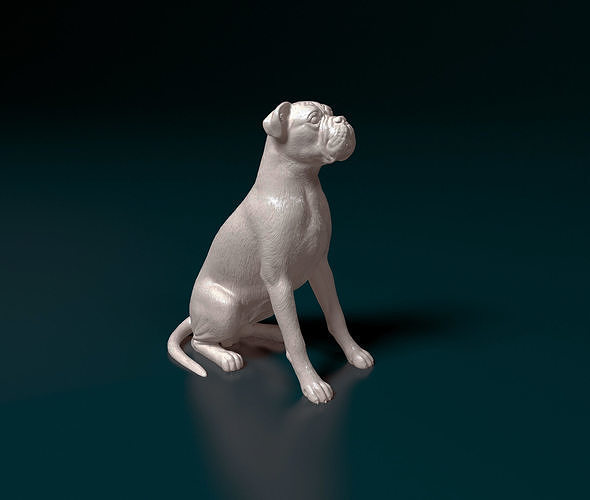 Boxer dog 3D print model