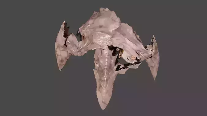 Helldivers 2 Charger