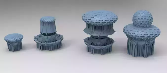 Ivy mushroom root collection 1